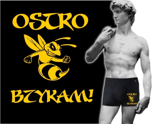 Bokserki męskie OSTRO BZYKAM