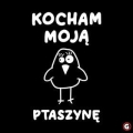 KOCHAM-MOJEGO-PTASZKA-WZOR.jpg