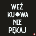 WEZ-KUR-WA-NIE-PEKAJ2.png