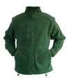 BOTTLE-GREEN.jpg