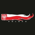 Polska flaga poszarpana.jpg