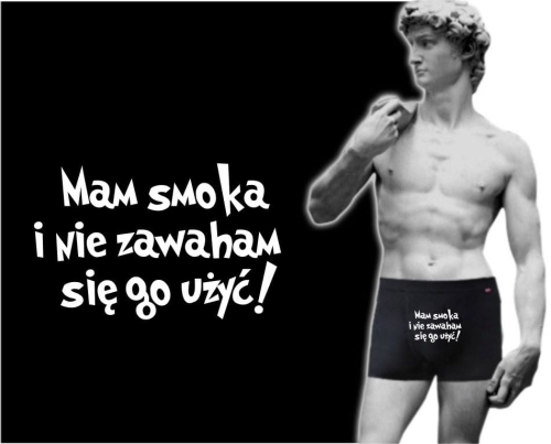 Bokserki męskie MAM SMOKA I NIE ZAWAHAM SIĘ GO UŻYĆ