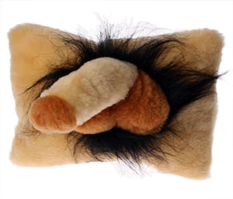 PODUCHA PENIS