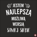 Jestem najlepsza wersja.jpg