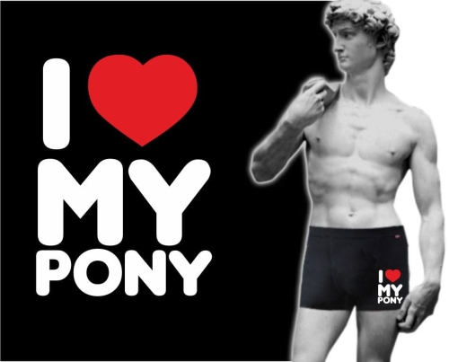Bokserki męskie I LOVE MY PONY
