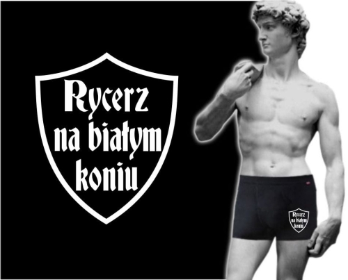 Bokserki męskie RYCERZ NA BIAŁYM KONIU