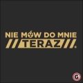 Nie_mow_wzor.jpg